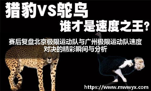 关键词4